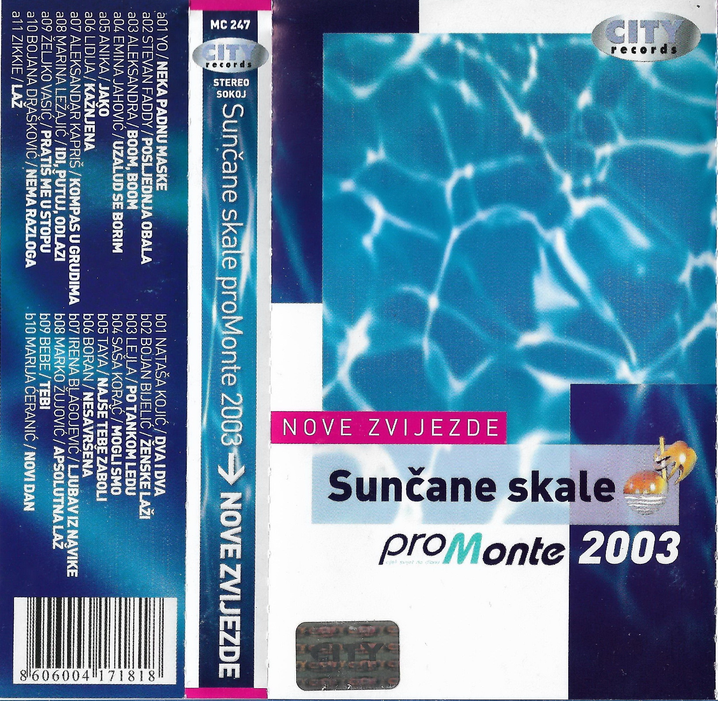 SK 2003 NZ 1 a