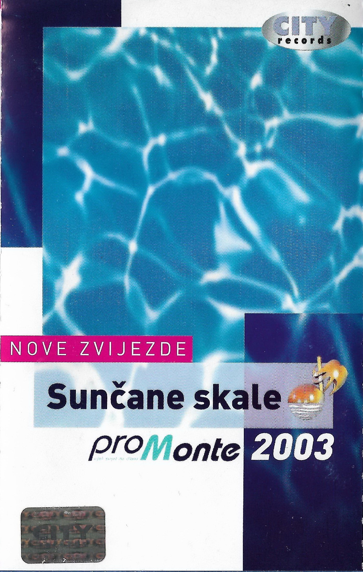SK 2003 NZ 1 c