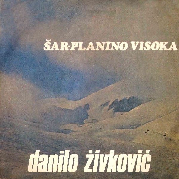 Danilo Zivkovic 1981 a