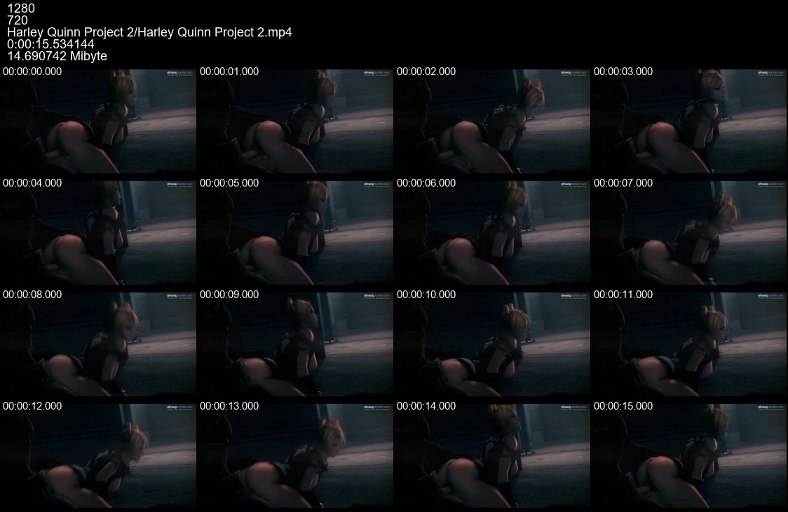 30 Harley Quinn Project 2 mp 4