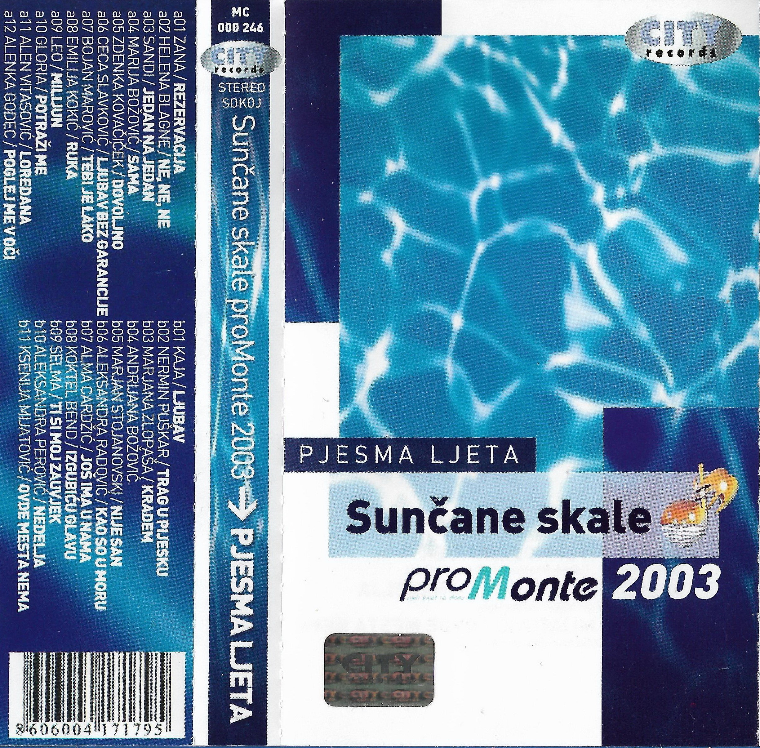 SK 2003 PL 1 a