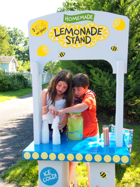 kids lemonade stand photo 1
