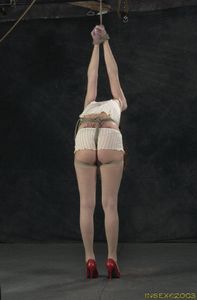 BDSM Insex 43 - Butt Swing [x455]-07bpdtgc4r.jpg