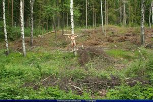 Krista Crucified In Forest [x54]-i7capkn2xl.jpg