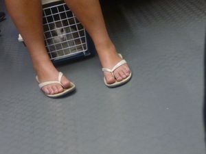 Girls-Feet-in-Paris-%28libraries%2C-parks%2C-restaurants...%29-c7hcco92w4.jpg